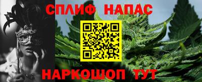 стаф Белореченск