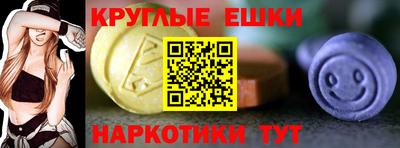 СК Брянск