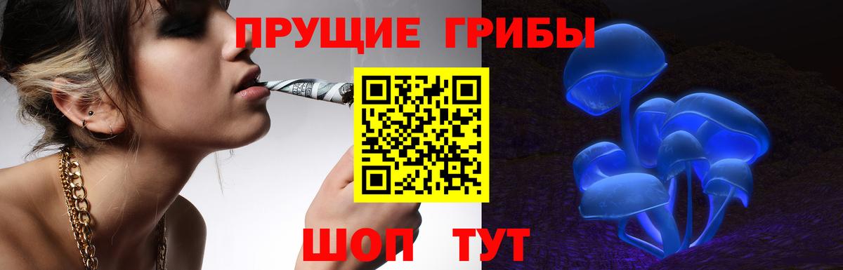 Ленинск-Кузнецкий  Псилоцибиновые грибы ЛСД  Вход с VPN 